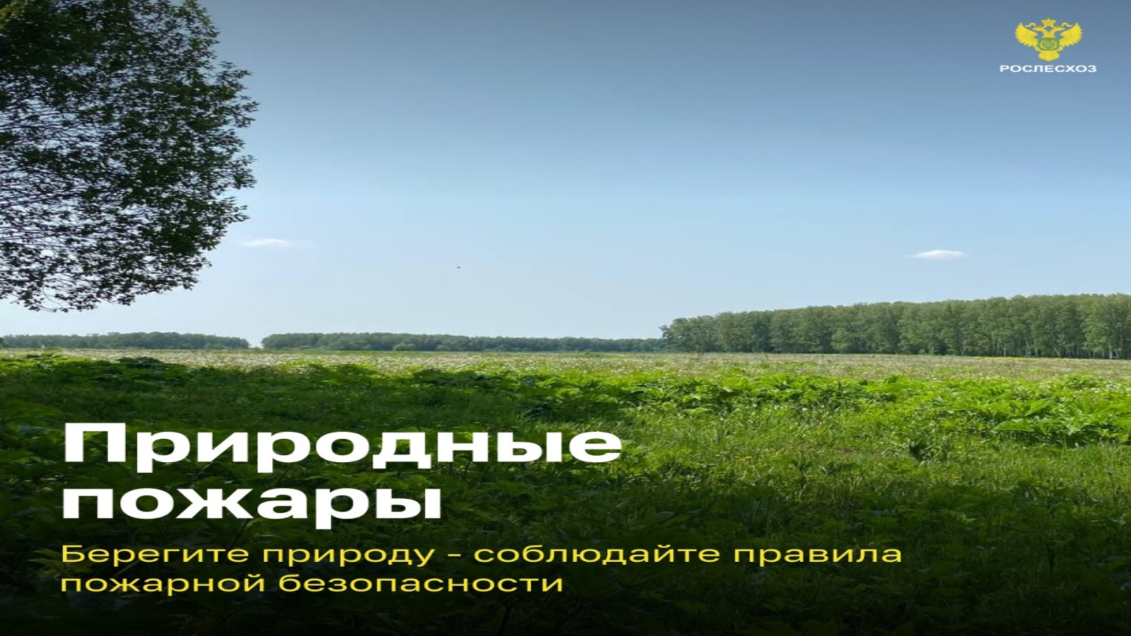 Природные пожары. Безопасность начинается с тебя! Природные пожары. Безопасность начинается с тебя!.