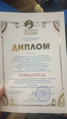 Директор пришкольного лагеря получила награду за свой труд.